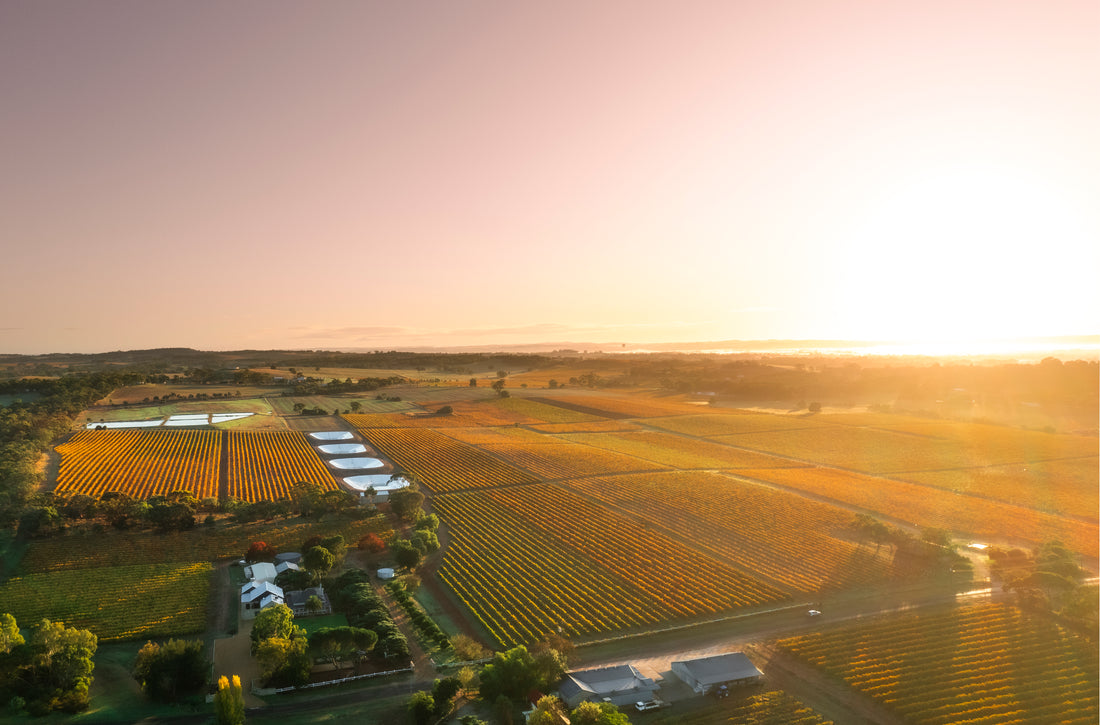 Schubert Estate Aerial Photo 2023