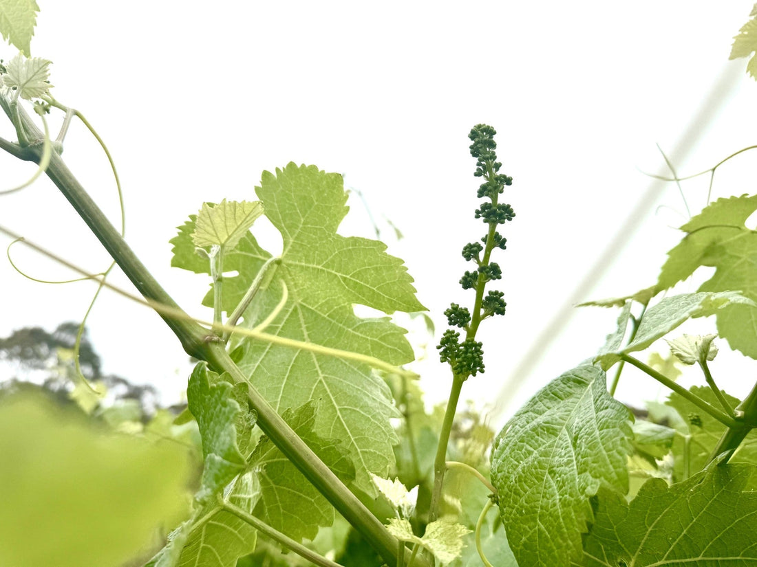 One Minute Read - On Falling Short of Perfection