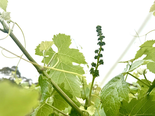 One Minute Read - On Falling Short of Perfection